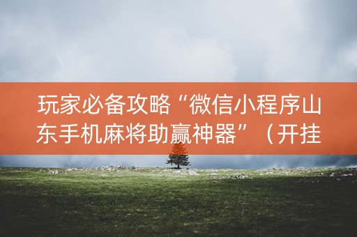 玩家必备攻略“微信小程序山东手机麻将助赢神器”（开挂辅助插件)