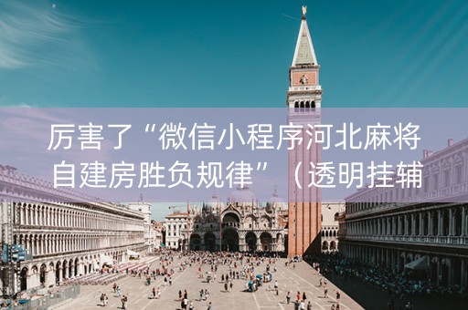 厉害了“微信小程序河北麻将自建房胜负规律”（透明挂辅助器)