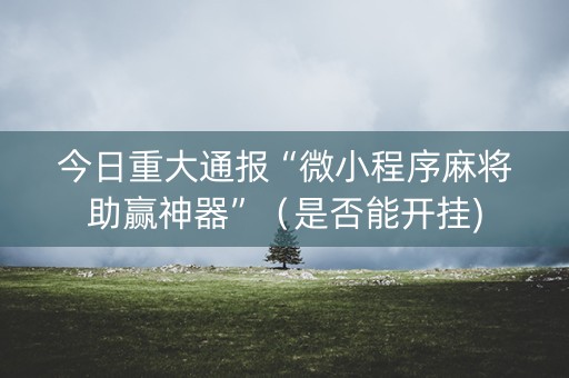 今日重大通报“微小程序麻将助赢神器”（是否能开挂)