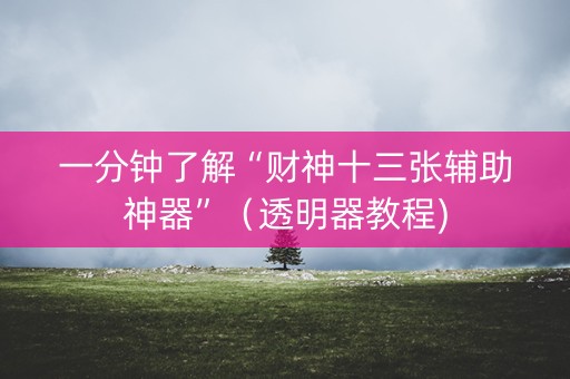 一分钟了解“财神十三张辅助神器”（透明器教程)