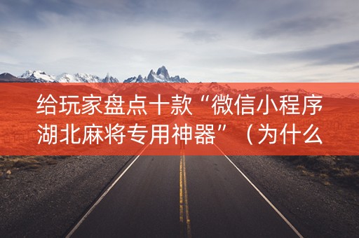 给玩家盘点十款“微信小程序湖北麻将专用神器”（为什么有人一直赢)