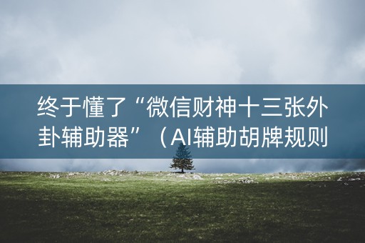 终于懂了“微信财神十三张外卦辅助器”（AI辅助胡牌规则)