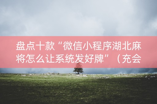 盘点十款“微信小程序湖北麻将怎么让系统发好牌”（充会员胜率高)
