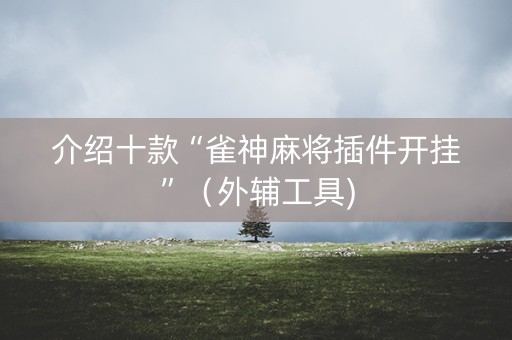 介绍十款“雀神麻将插件开挂”（外辅工具)