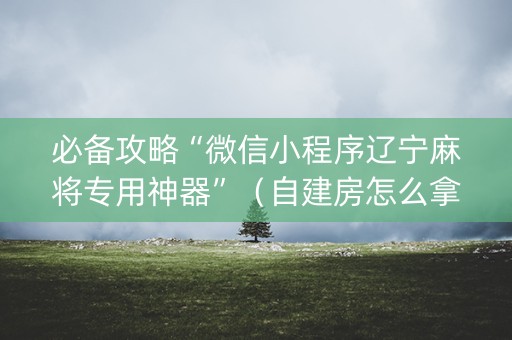 必备攻略“微信小程序辽宁麻将专用神器”（自建房怎么拿好牌)