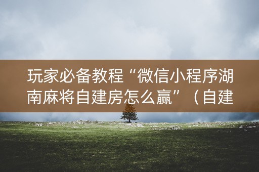玩家必备教程“微信小程序湖南麻将自建房怎么赢”（自建房怎么拿好牌)