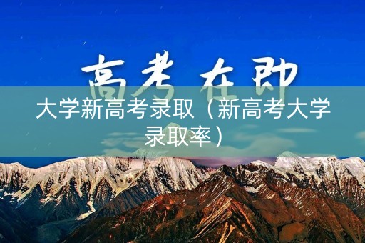 大学新高考录取（新高考大学录取率）