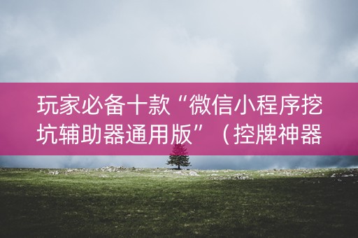 玩家必备十款“微信小程序挖坑辅助器通用版”（控牌神器)