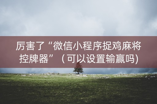 厉害了“微信小程序捉鸡麻将控牌器”（可以设置输赢吗)