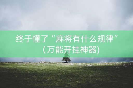 终于懂了“麻将有什么规律”（万能开挂神器)