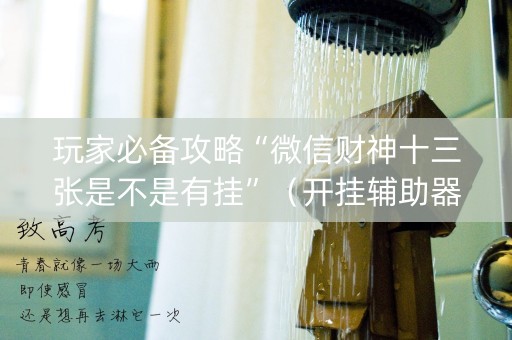 玩家必备攻略“微信财神十三张是不是有挂”（开挂辅助器脚本)