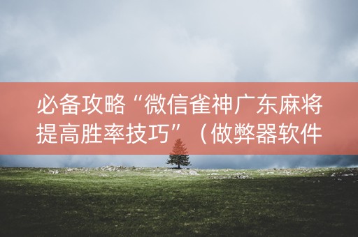 必备攻略“微信雀神广东麻将提高胜率技巧”（做弊器软件下载)