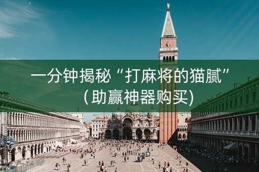 一分钟揭秘“打麻将的猫腻”（助赢神器购买)