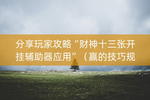 分享玩家攻略“财神十三张开挂辅助器应用”（赢的技巧规律)