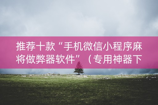 推荐十款“手机微信小程序麻将做弊器软件”（专用神器下载)