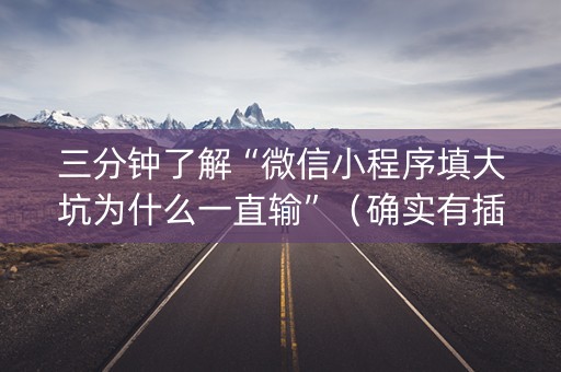 三分钟了解“微信小程序填大坑为什么一直输”（确实有插件吗)