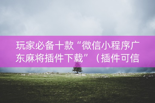 玩家必备十款“微信小程序广东麻将插件下载”（插件可信吗)