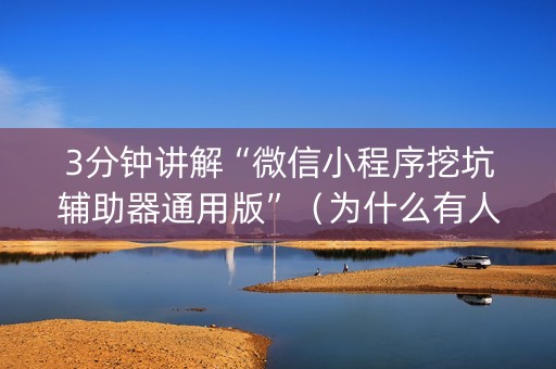 3分钟讲解“微信小程序挖坑辅助器通用版”（为什么有人一直赢)