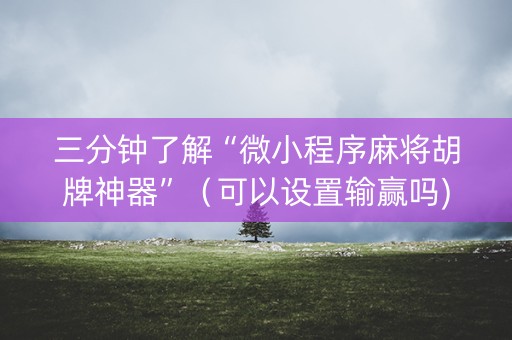 三分钟了解“微小程序麻将胡牌神器”（可以设置输赢吗)