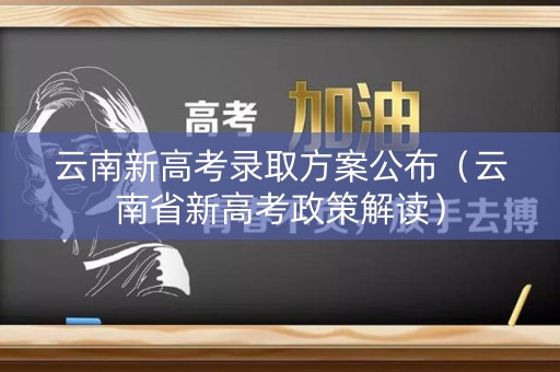 云南新高考录取方案公布（云南省新高考政策解读）