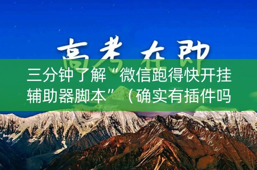 三分钟了解“微信跑得快开挂辅助器脚本”（确实有插件吗)