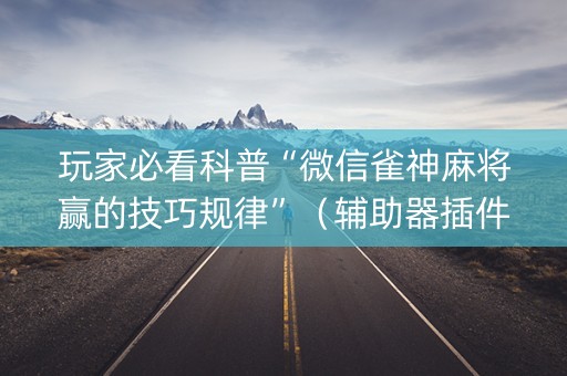 玩家必看科普“微信雀神麻将赢的技巧规律”（辅助器插件)