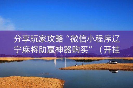 分享玩家攻略“微信小程序辽宁麻将助赢神器购买”（开挂辅助器插件)