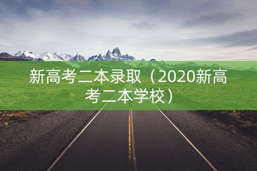 新高考二本录取（2020新高考二本学校）
