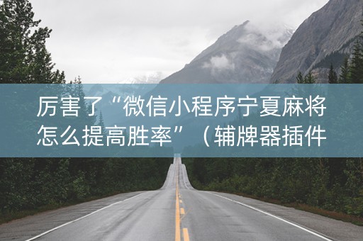 厉害了“微信小程序宁夏麻将怎么提高胜率”（辅牌器插件购买)
