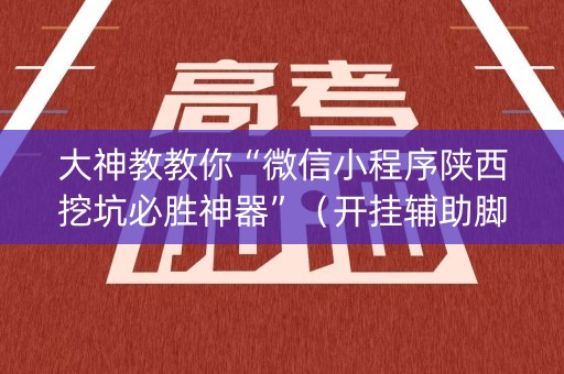 大神教教你“微信小程序陕西挖坑必胜神器”（开挂辅助脚本)
