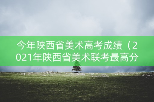 今年陕西省美术高考成绩（2021年陕西省美术联考最高分）