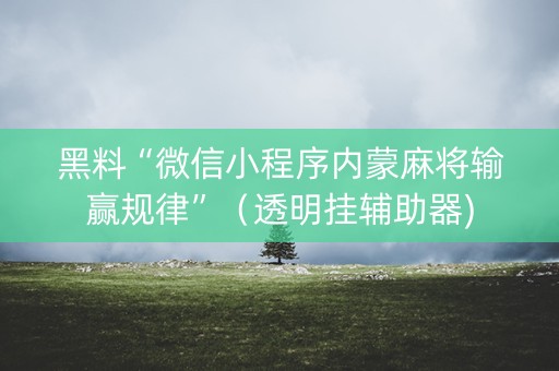 黑料“微信小程序内蒙麻将输赢规律”（透明挂辅助器)