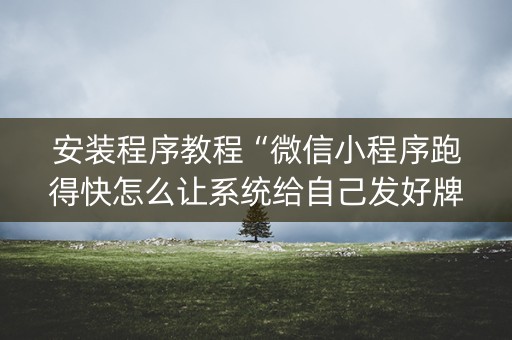 安装程序教程“微信小程序跑得快怎么让系统给自己发好牌”（有没有猫腻)
