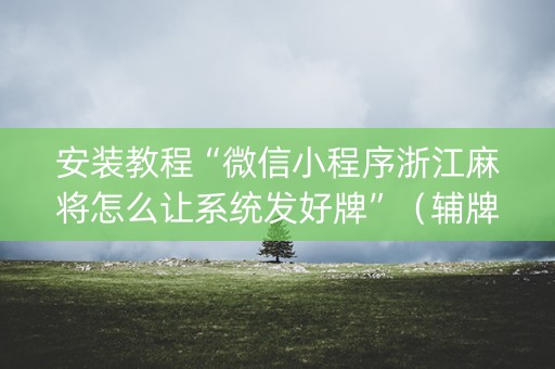 安装教程“微信小程序浙江麻将怎么让系统发好牌”（辅牌器插件购买)