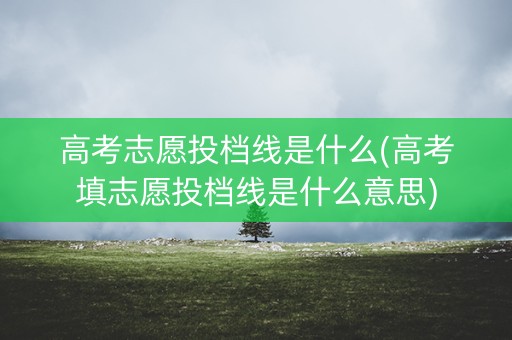 高考志愿投档线是什么(高考填志愿投档线是什么意思)