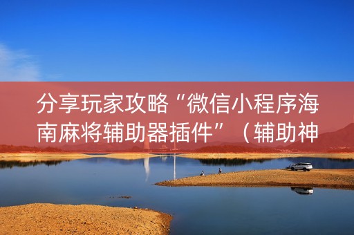 分享玩家攻略“微信小程序海南麻将辅助器插件”（辅助神器免费)