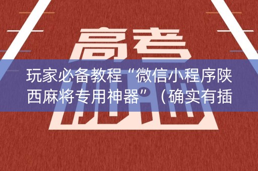 玩家必备教程“微信小程序陕西麻将专用神器”（确实有插件吗)