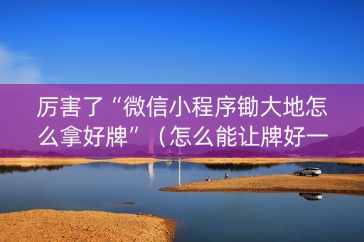 厉害了“微信小程序锄大地怎么拿好牌”（怎么能让牌好一点)