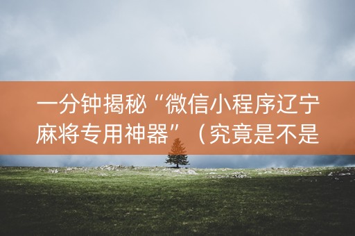 一分钟揭秘“微信小程序辽宁麻将专用神器”（究竟是不是有挂)