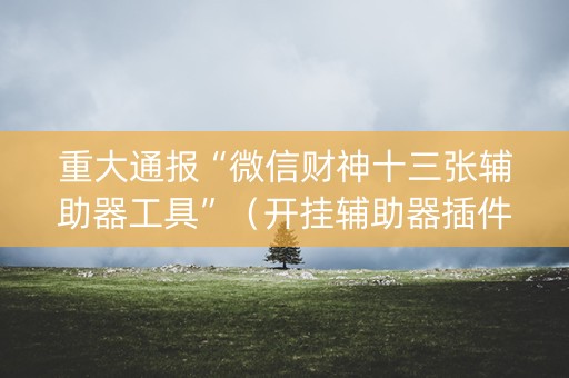 重大通报“微信财神十三张辅助器工具”（开挂辅助器插件)