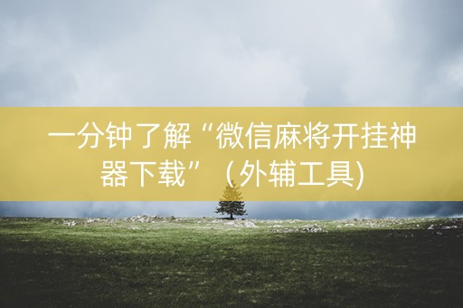 一分钟了解“微信麻将开挂神器下载”（外辅工具)