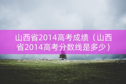 山西省2014高考成绩（山西省2014高考分数线是多少）