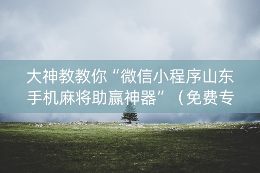 大神教教你“微信小程序山东手机麻将助赢神器”（免费专用神器)