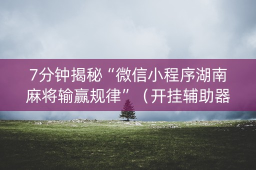 7分钟揭秘“微信小程序湖南麻将输赢规律”（开挂辅助器脚本)