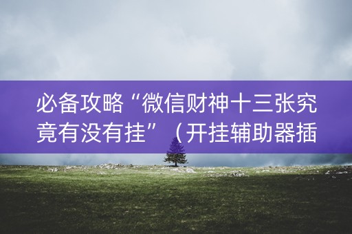 必备攻略“微信财神十三张究竟有没有挂”（开挂辅助器插件)