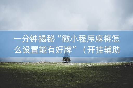一分钟揭秘“微小程序麻将怎么设置能有好牌”（开挂辅助器脚本)