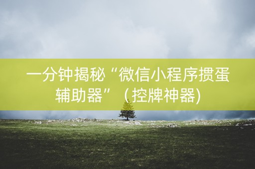 一分钟揭秘“微信小程序掼蛋辅助器”（控牌神器)