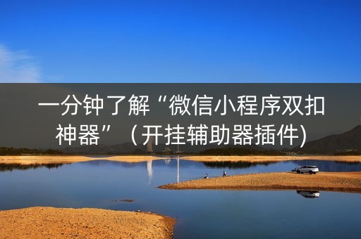 一分钟了解“微信小程序双扣神器”（开挂辅助器插件)