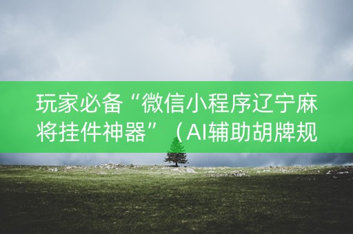 玩家必备“微信小程序辽宁麻将挂件神器”（AI辅助胡牌规则)