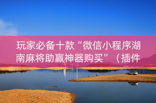 玩家必备十款“微信小程序湖南麻将助赢神器购买”（插件可信吗)